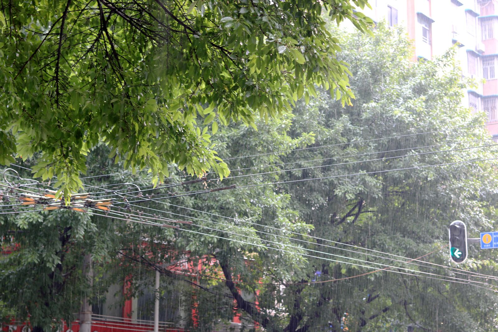 Canon EOS 760D (EOS Rebel T6s / EOS 8000D) + Canon EF 50mm F1.8 STM sample photo. Rain photography