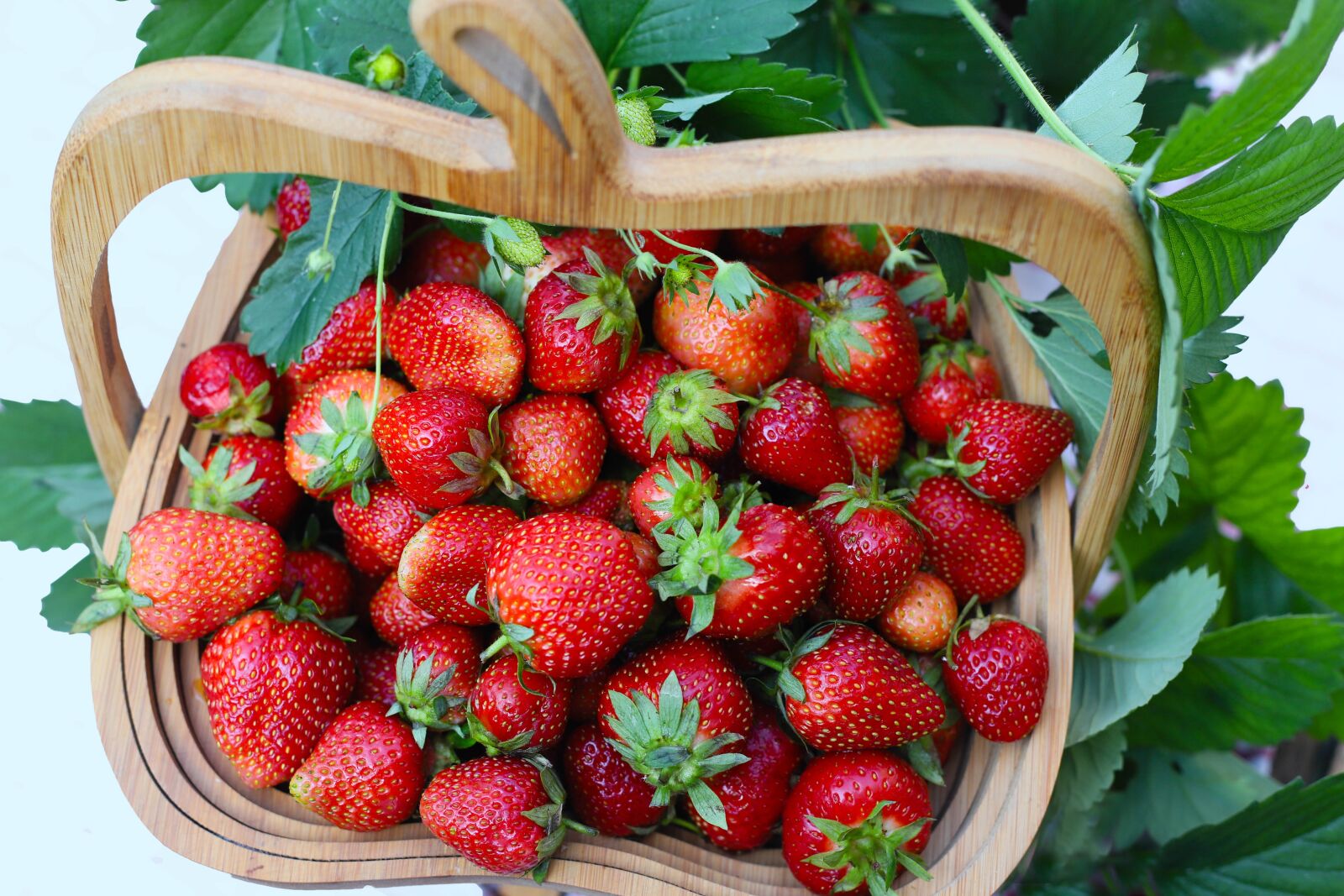 Canon EOS 6D Mark II sample photo. Strawberries, basket, fruits photography