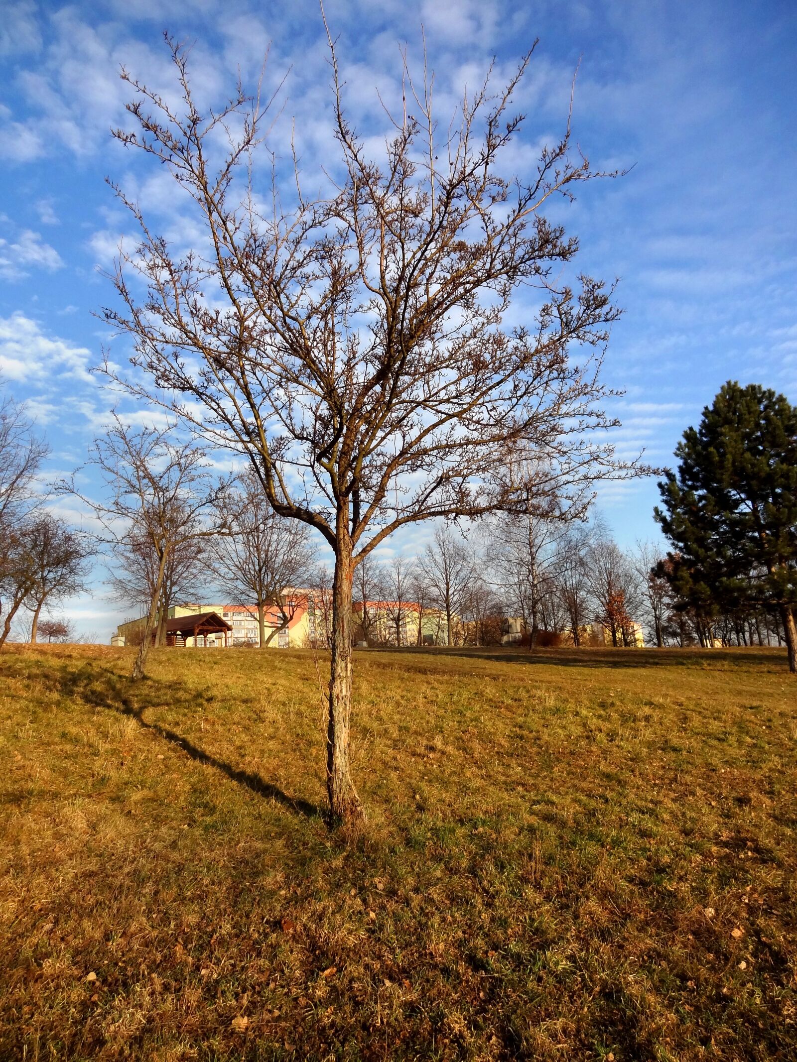Sony Cyber-shot DSC-HX9V sample photo. Author, skibka, photo photography
