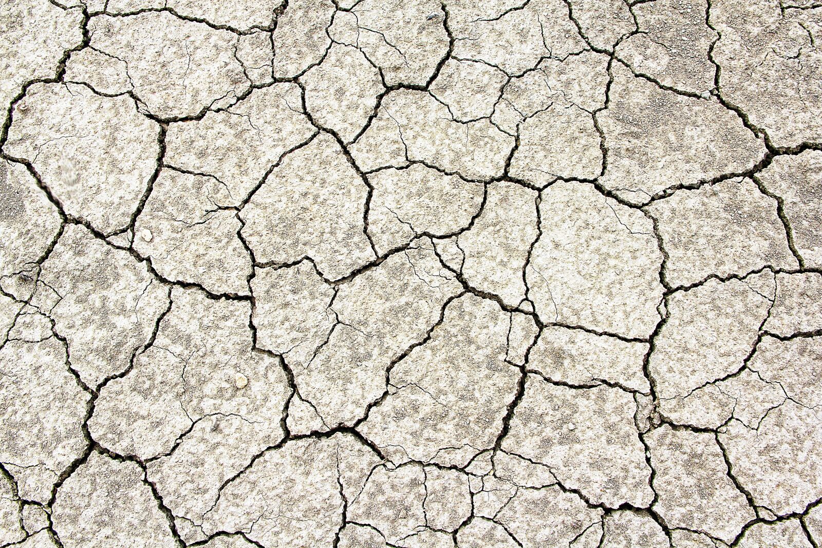 Canon EOS 550D (EOS Rebel T2i / EOS Kiss X4) sample photo. Texture, cracks, structure photography