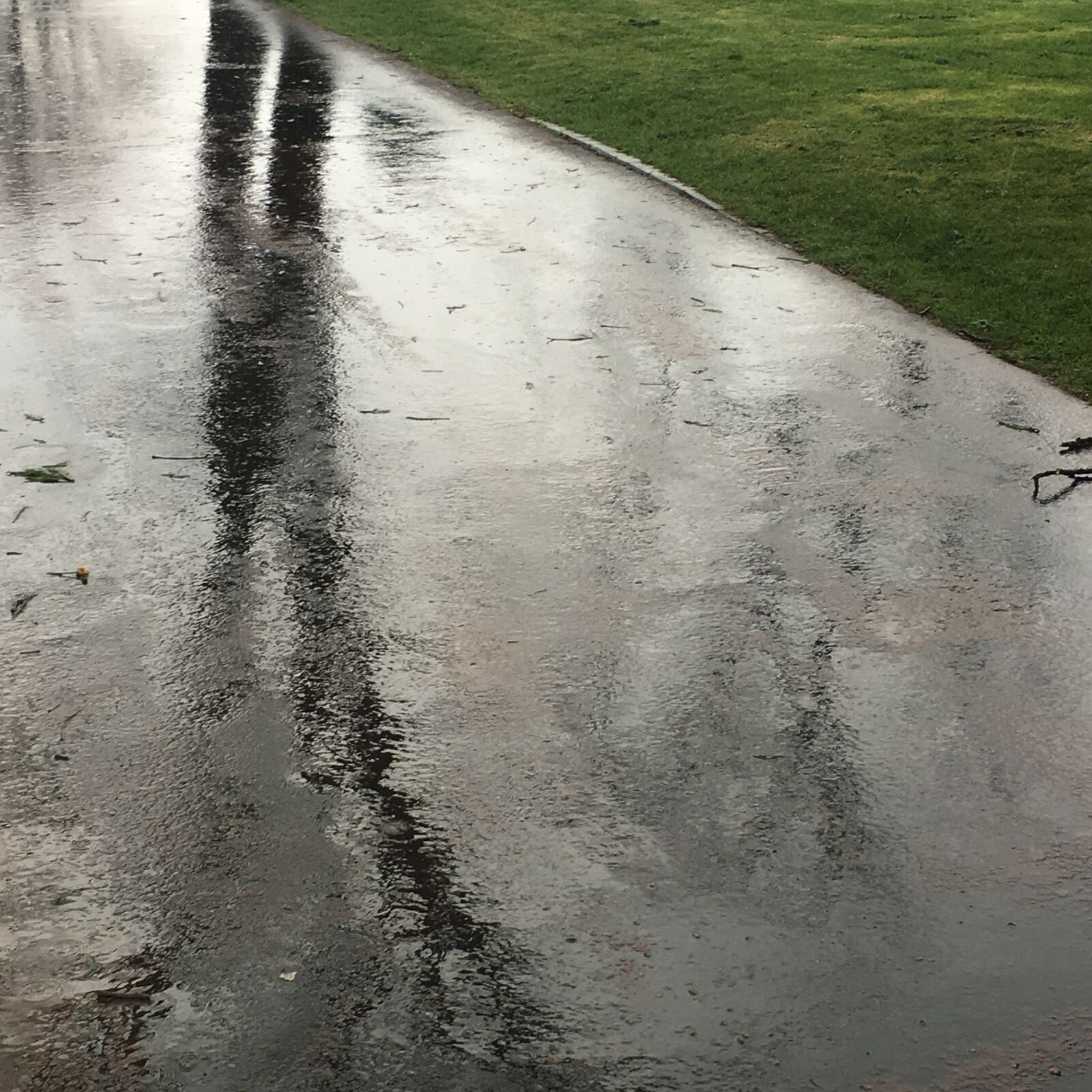 Apple iPhone 6s Plus sample photo. Rain, reflection, drops of photography