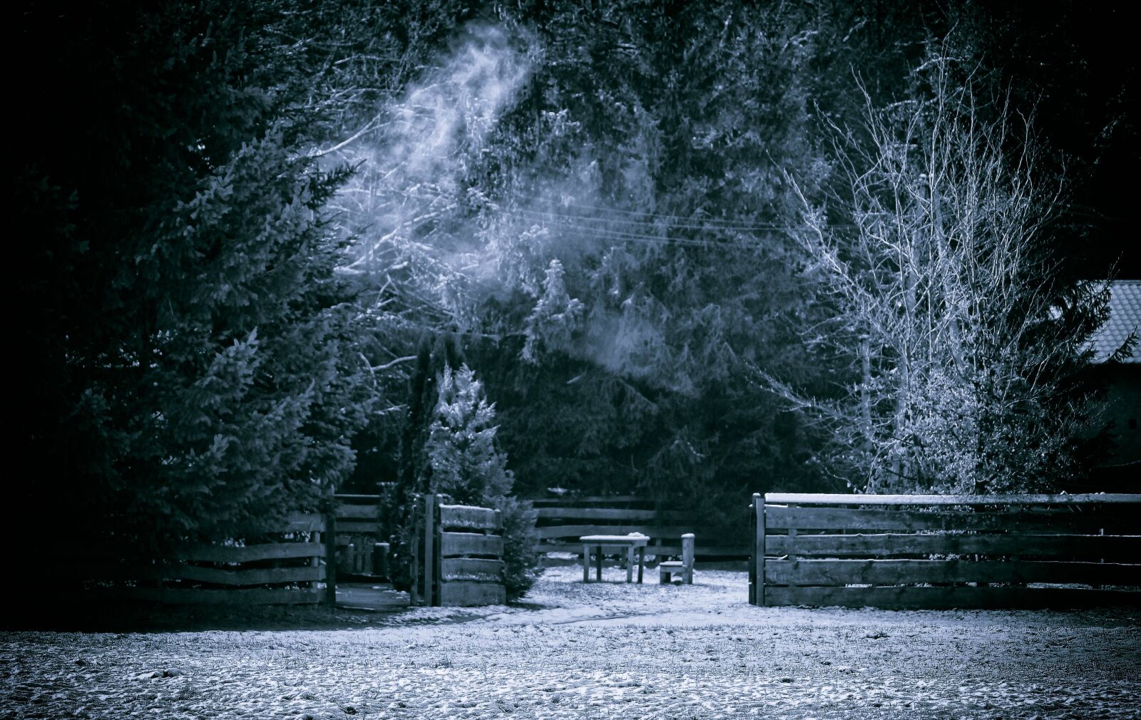Canon EOS 50D sample photo. Winter, snow, cold photography