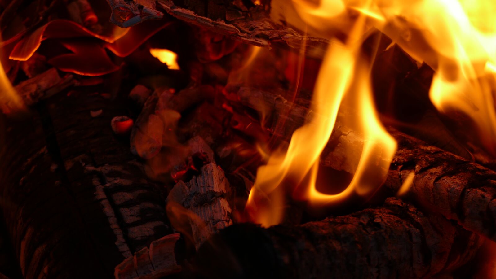 Panasonic Lumix DMC-FZ1000 sample photo. Campfire, fire bowl, embers photography