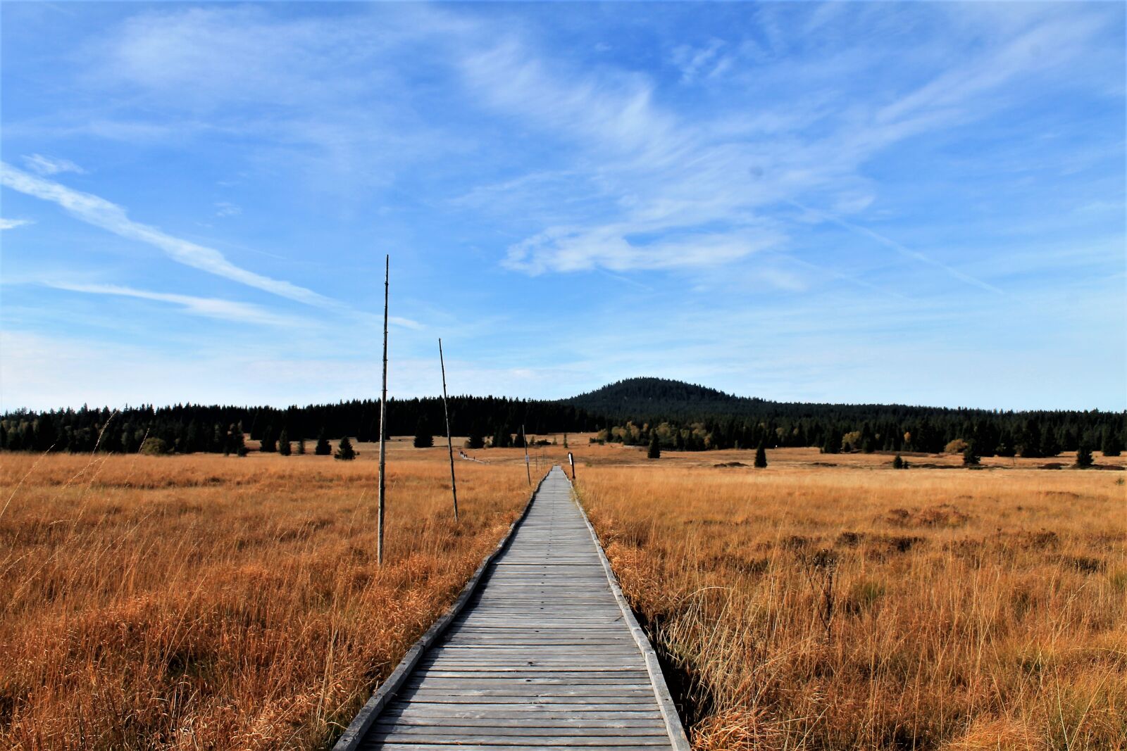 Canon EOS 1100D (EOS Rebel T3 / EOS Kiss X50) sample photo. Landscape, trail, autumn photography