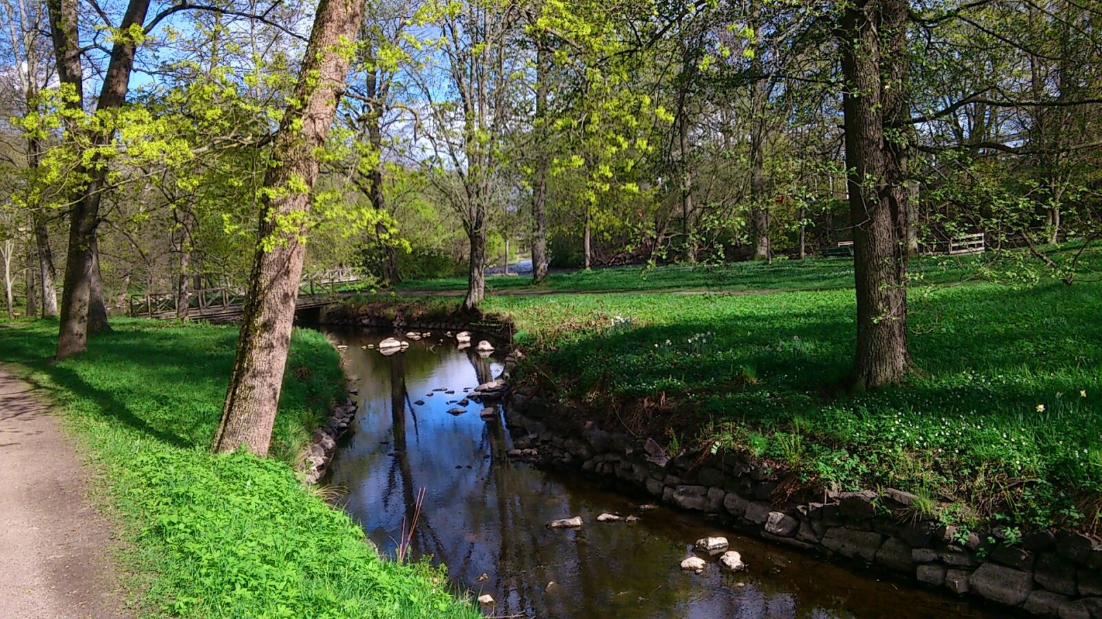 Sony Ericsson Xperia arc S sample photo. Early summer, park, tree photography