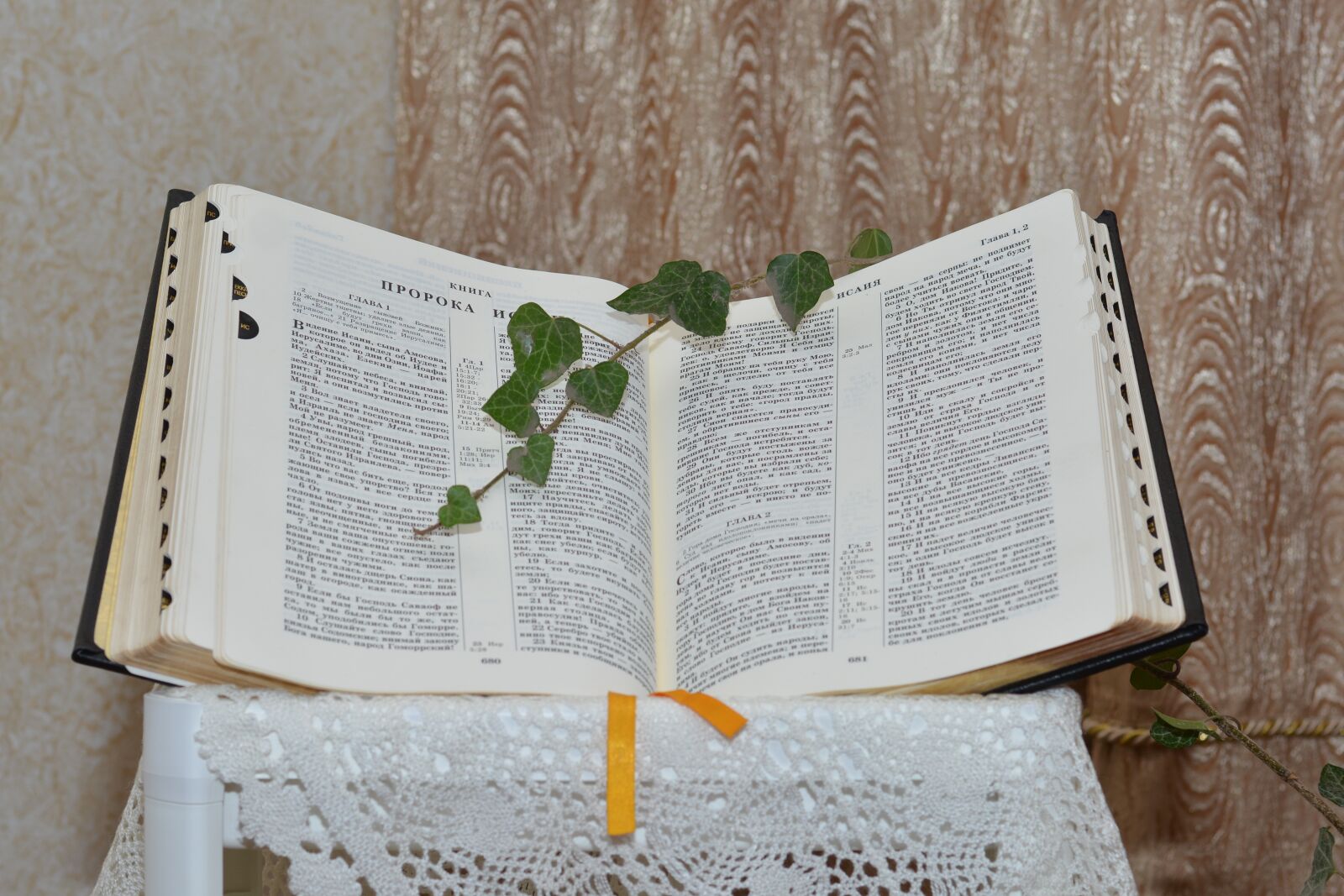 Nikon D7100 sample photo. библия, слово божье, bible photography
