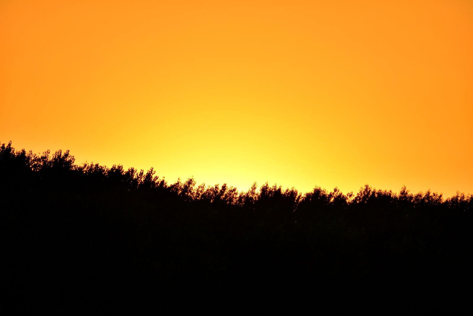 Nikon D5500 sample photo. Atmosphere, lighting, sunset, sun photography