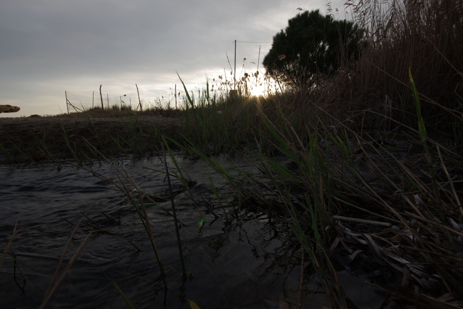 Sigma AF 10-20mm F4-5.6 EX DC sample photo