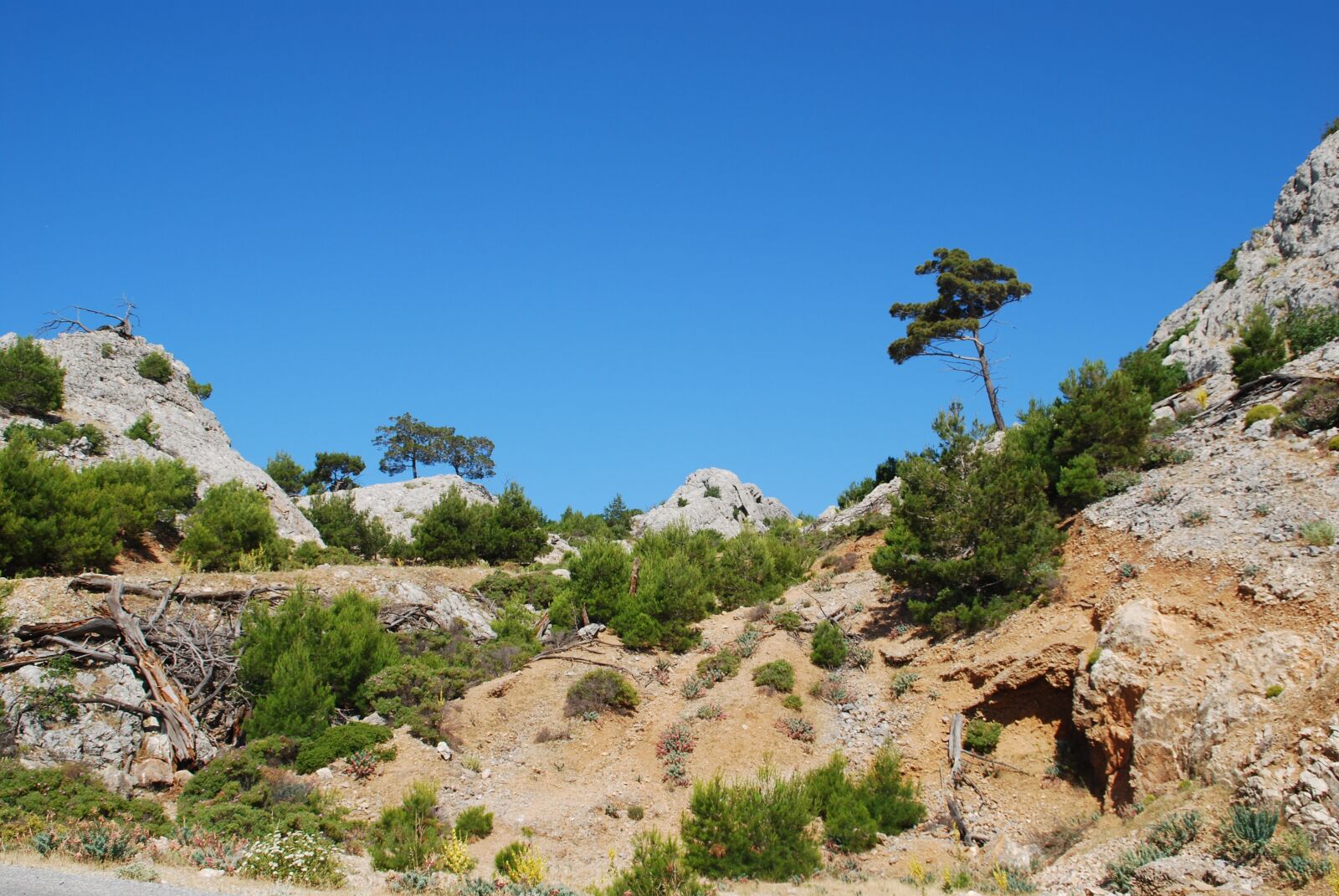 Nikon D60 sample photo. Samos, greece, mountain landscape photography