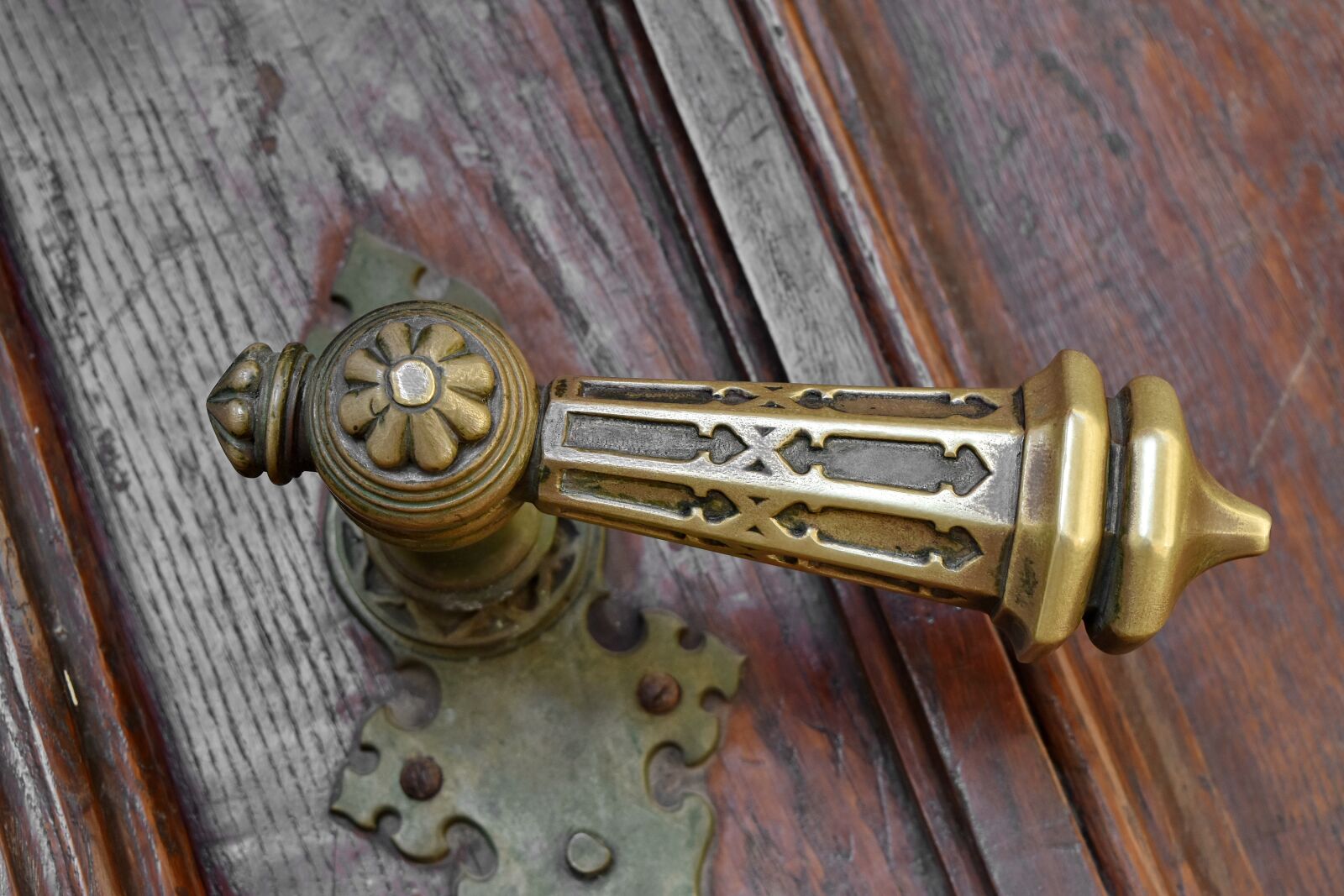 Nikon D5500 sample photo. Baroque, brass, front door photography
