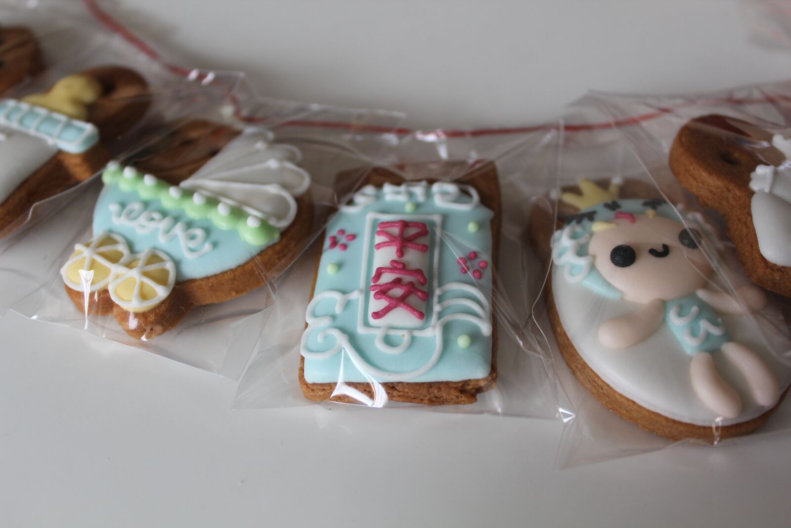 Canon EOS 600D (Rebel EOS T3i / EOS Kiss X5) sample photo. Biscuit, received salivary, christmas photography