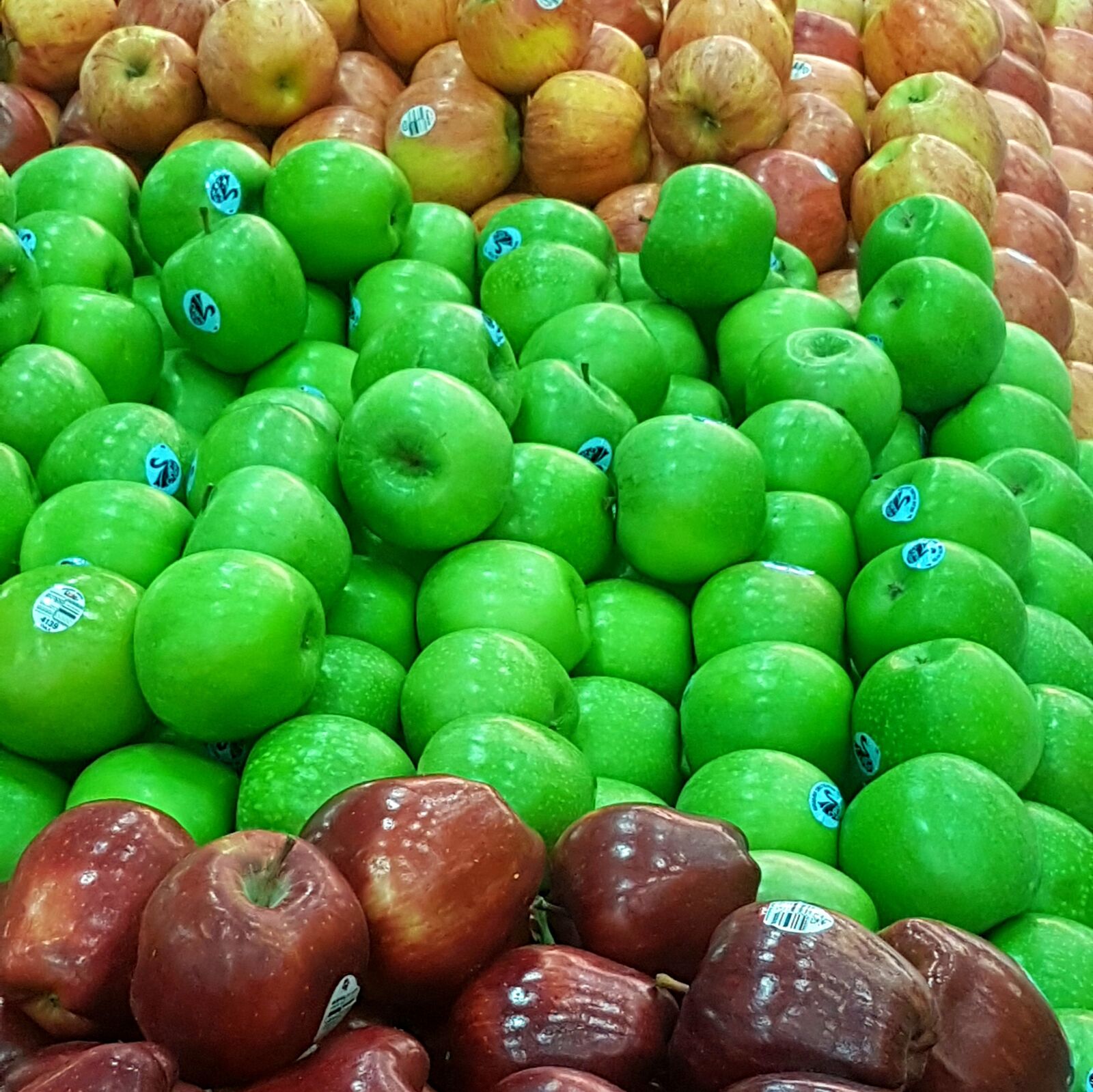 Samsung Galaxy S7 Edge sample photo. Fruit, apples, fresh photography