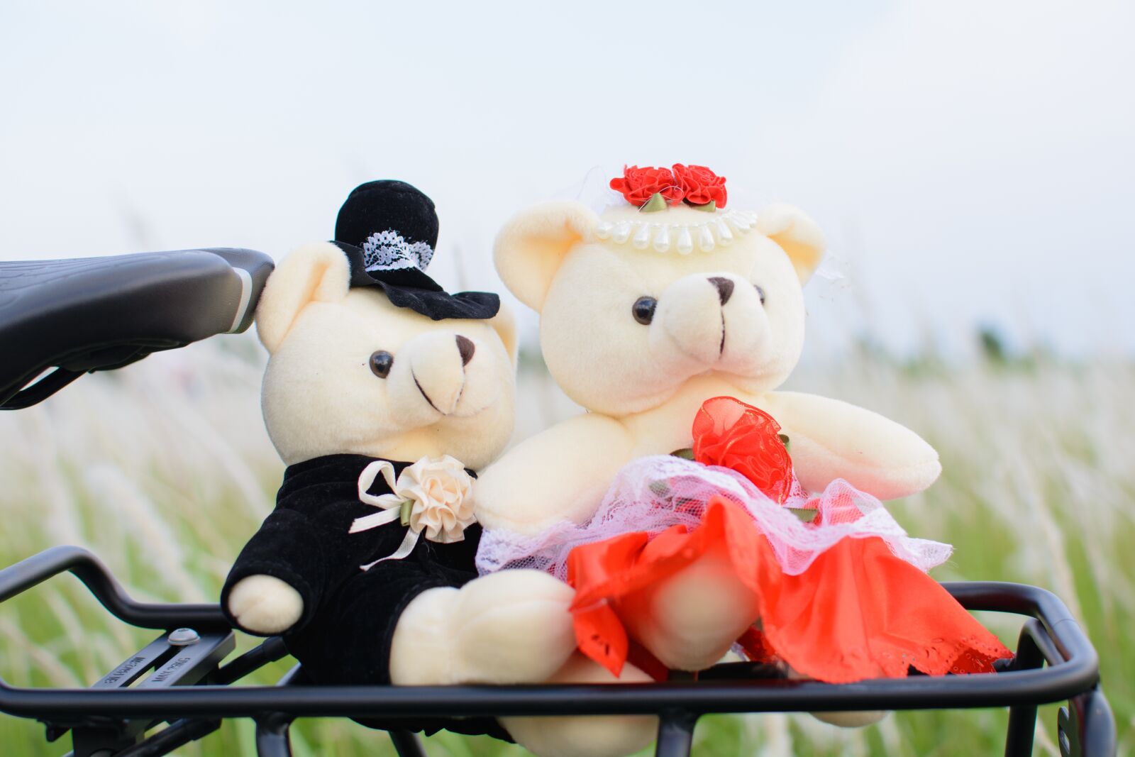 Nikon D7100 sample photo. Bear, doll, cute photography