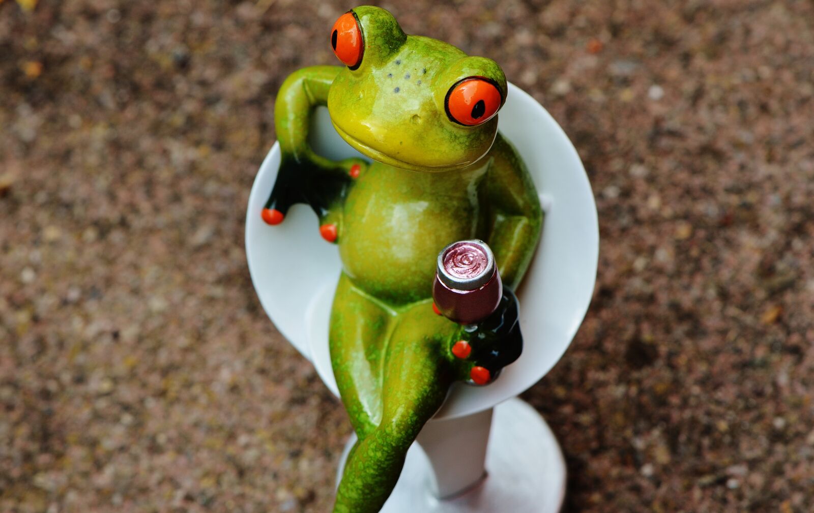 Nikon D3200 sample photo. Frog, chick, funny photography