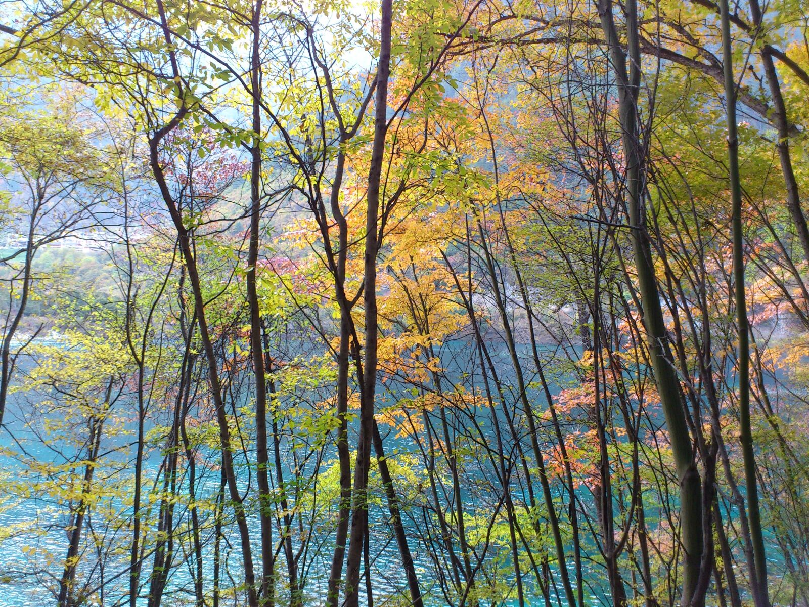 Sony Ericsson Xperia Neo sample photo. Jiuzhaigou, sichuan, color photography