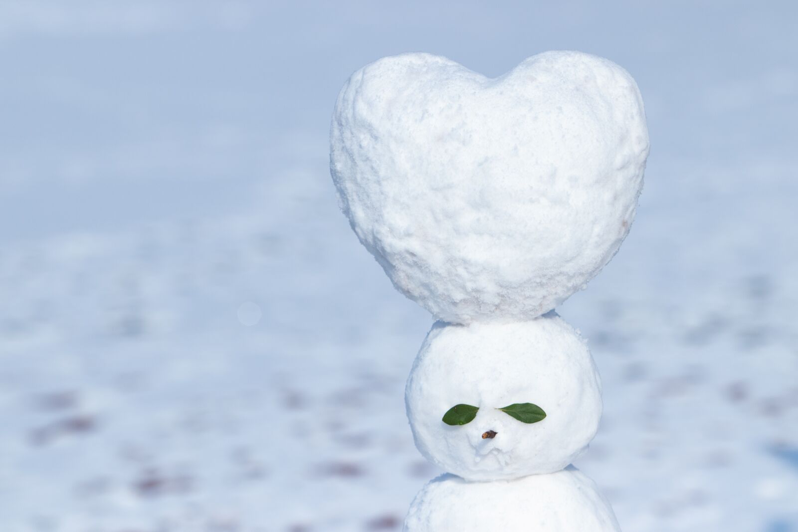 Canon EF 70-200mm F2.8L USM sample photo. Snow, snowman, winter photography