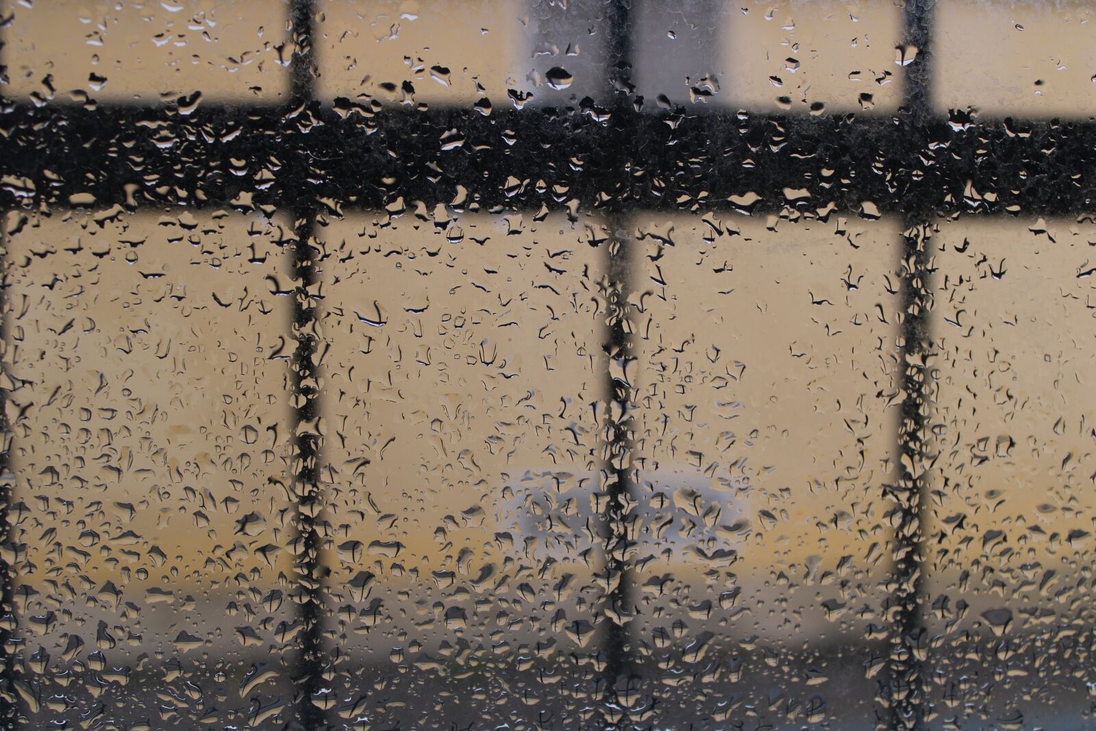 Canon EOS 2000D (EOS Rebel T7 / EOS Kiss X90 / EOS 1500D) sample photo. Rain, droplets, drops photography