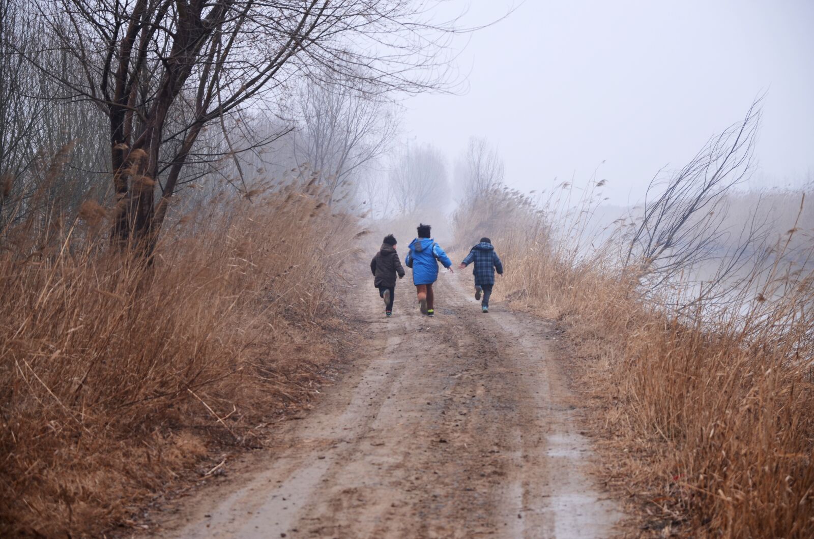 Nikon D7000 sample photo. Yellow river, wetlands, childlike photography