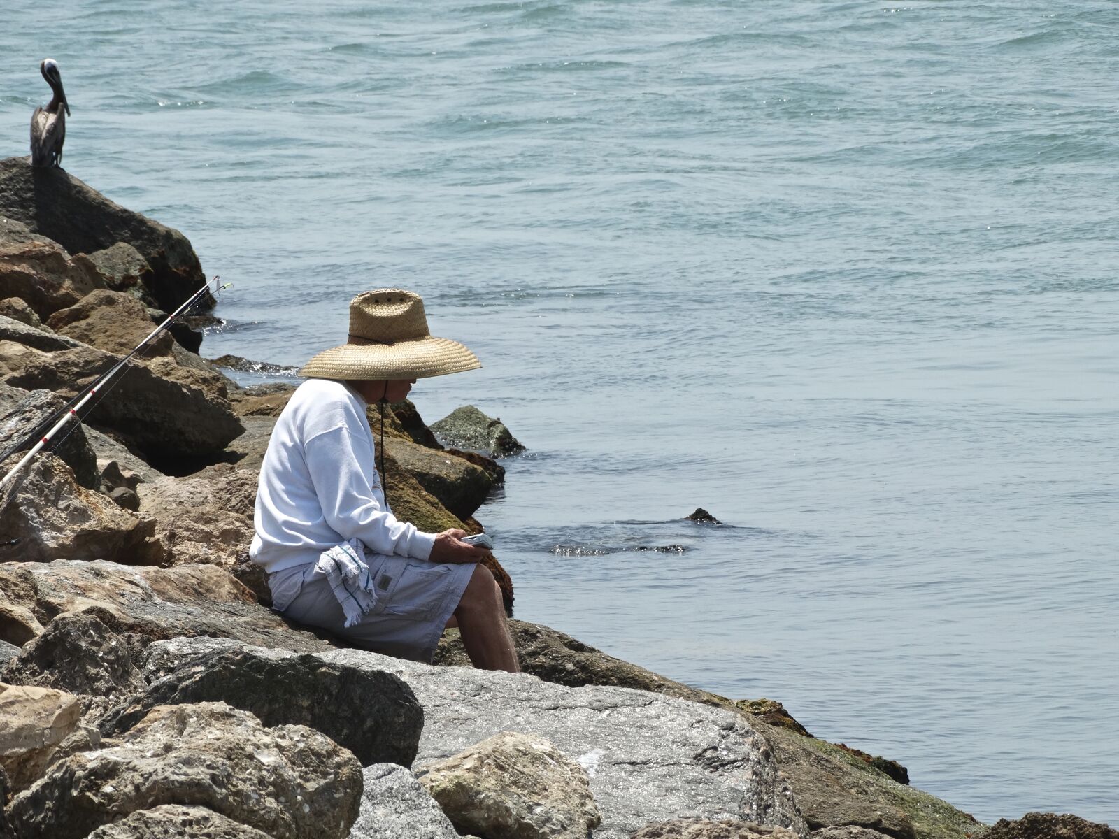 Sony Cyber-shot DSC-HX300 sample photo. Fishing, man, people photography