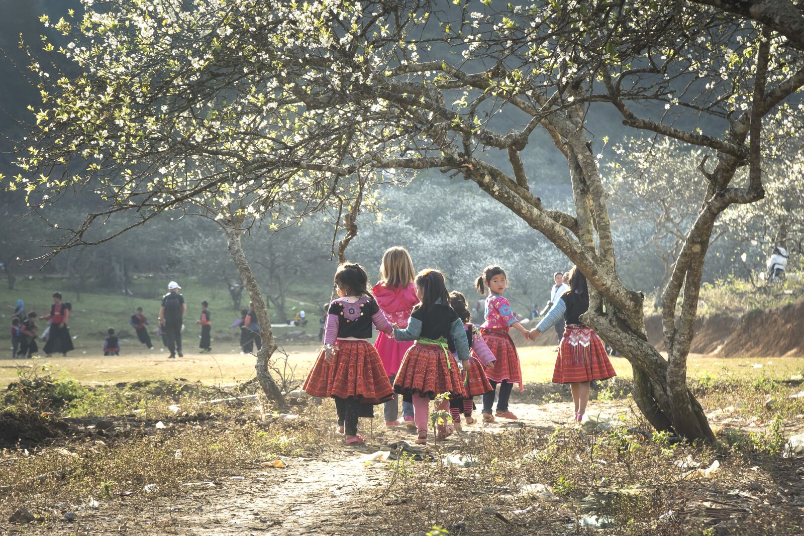 Sony a6500 + Sony Vario-Tessar T* E 16-70mm F4 ZA OSS sample photo. Year, lunar, hmong photography