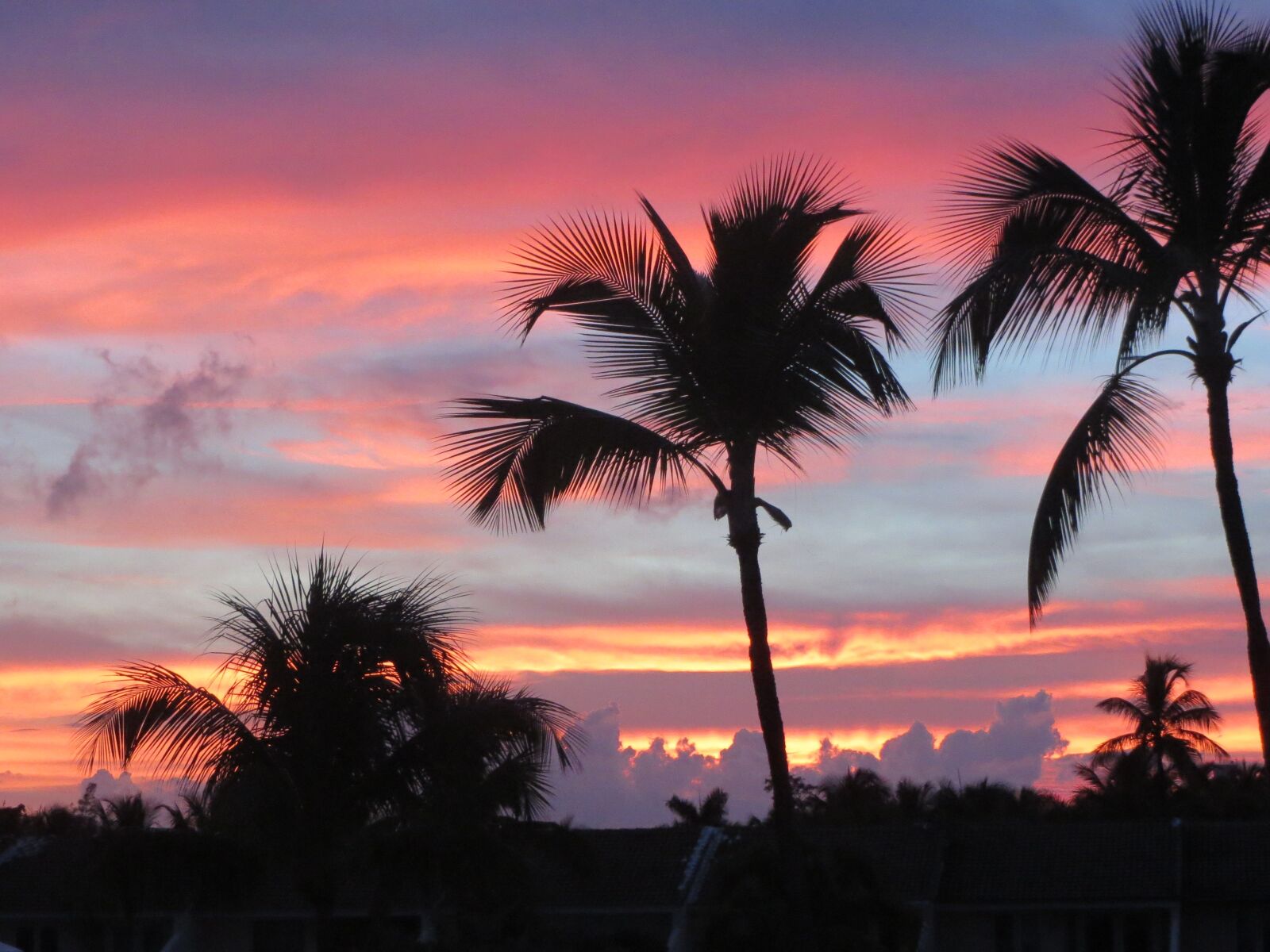 Canon PowerShot ELPH 520 HS (IXUS 500 HS / IXY 3) sample photo. Landscape, sunset, palm trees photography