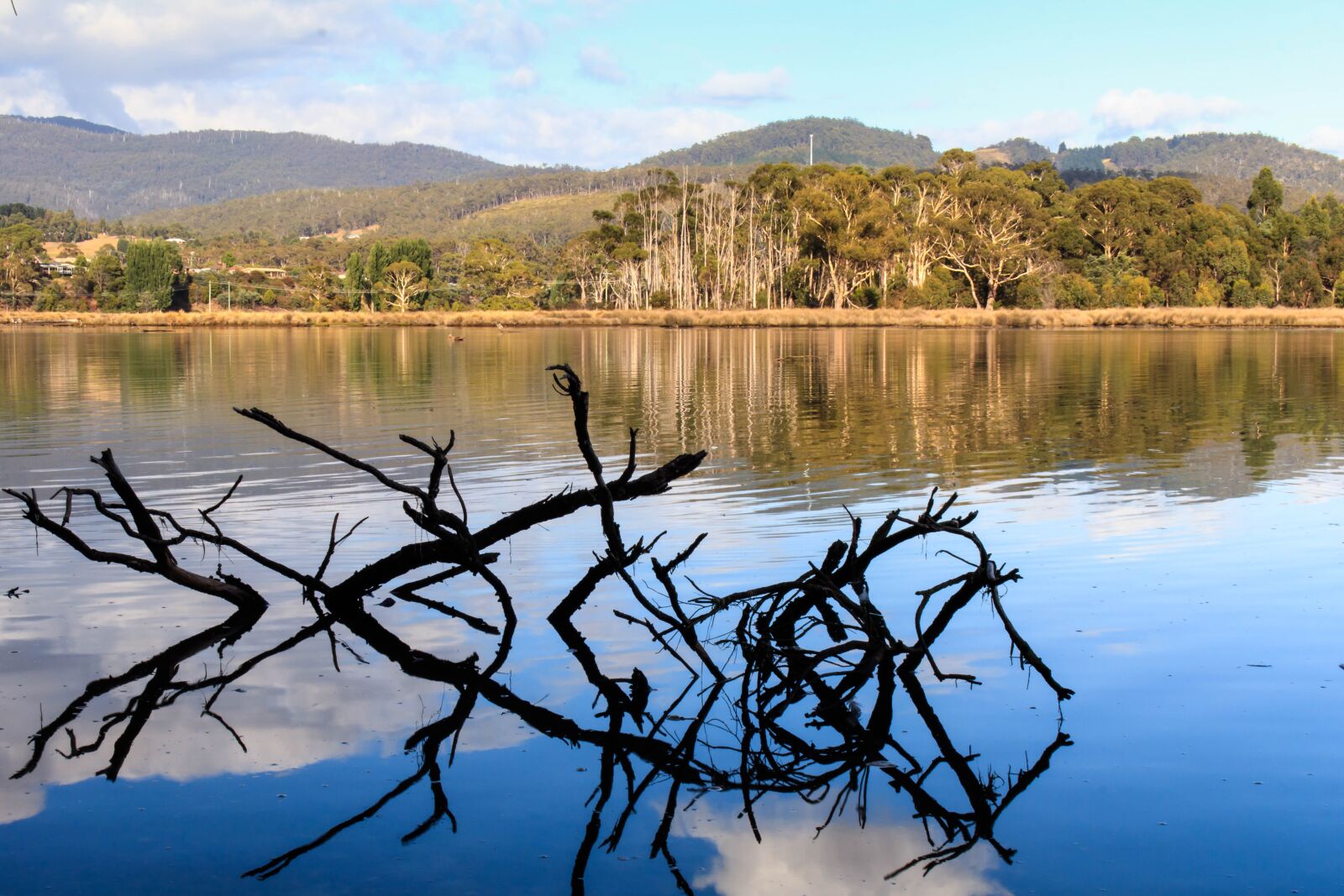Canon EOS 80D sample photo. Australia, tasmania, north west photography