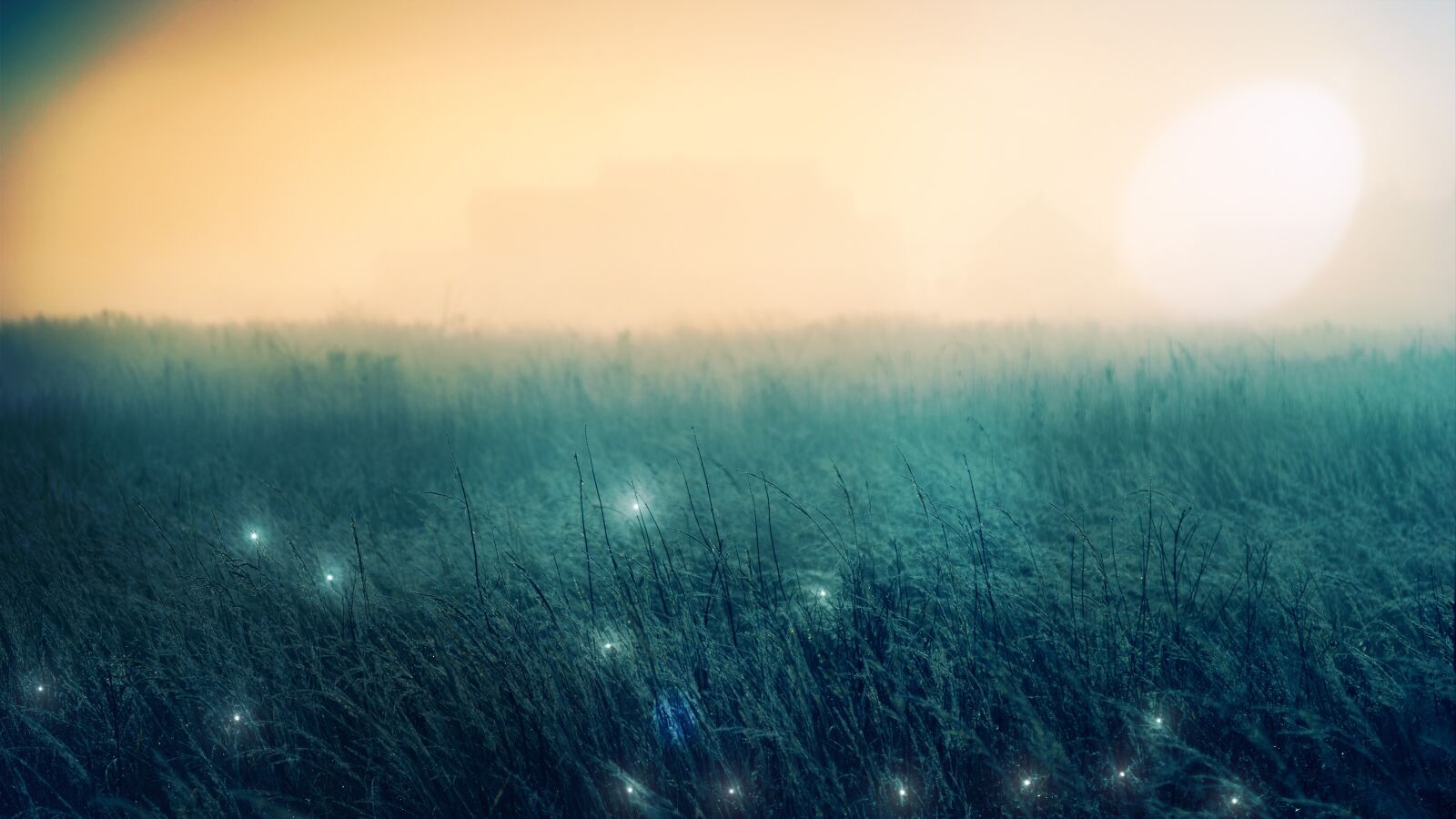 Sony a7 + Sony DT 50mm F1.8 SAM sample photo. Transformation, grunge, texture photography