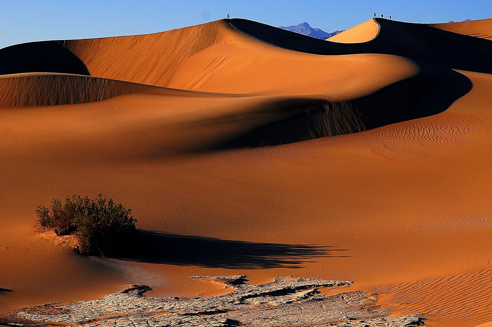 Nikon D80 sample photo. Death valley, sand, nature photography