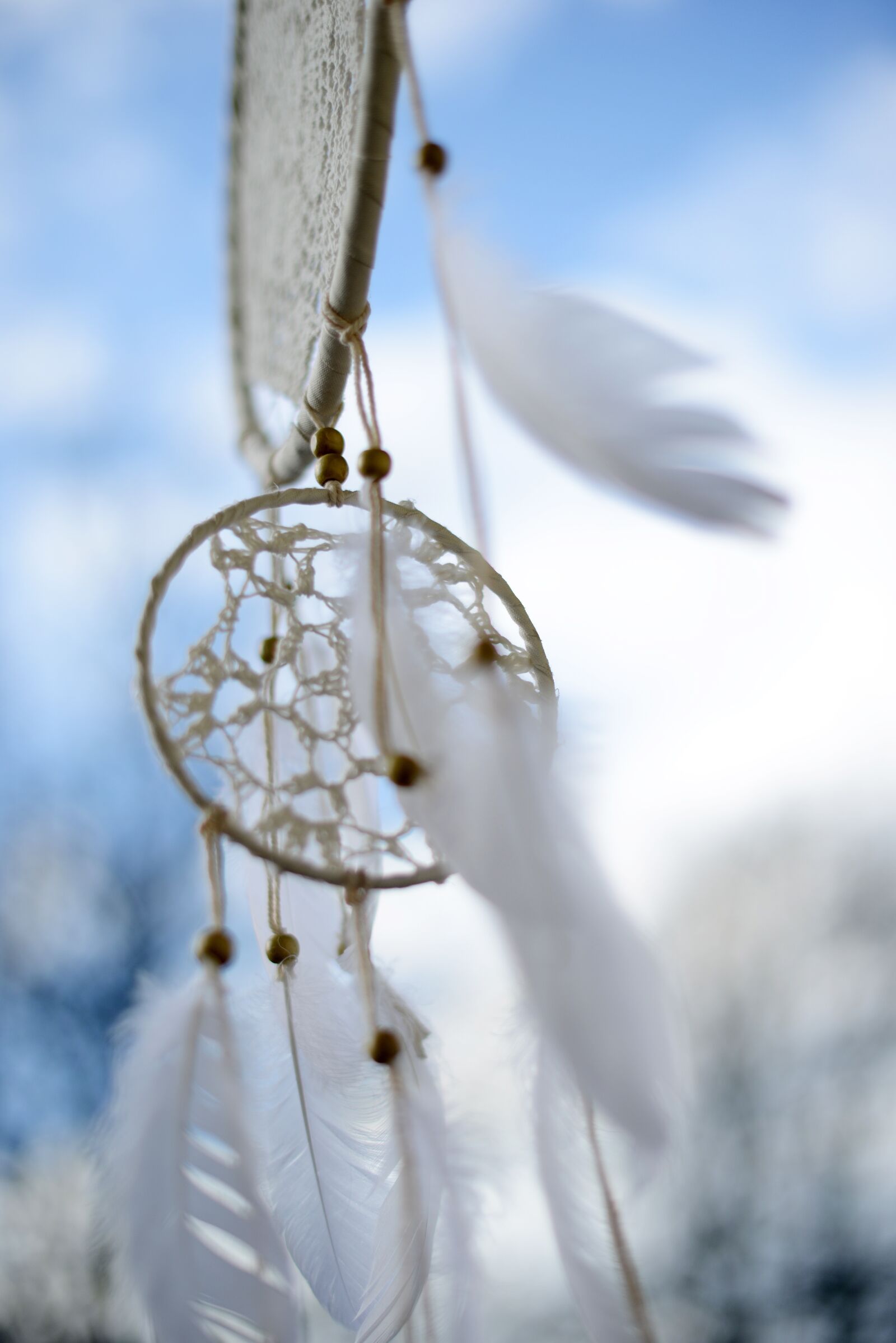 Nikon D800 sample photo. Dreamcatcher, dream catcher, culture photography