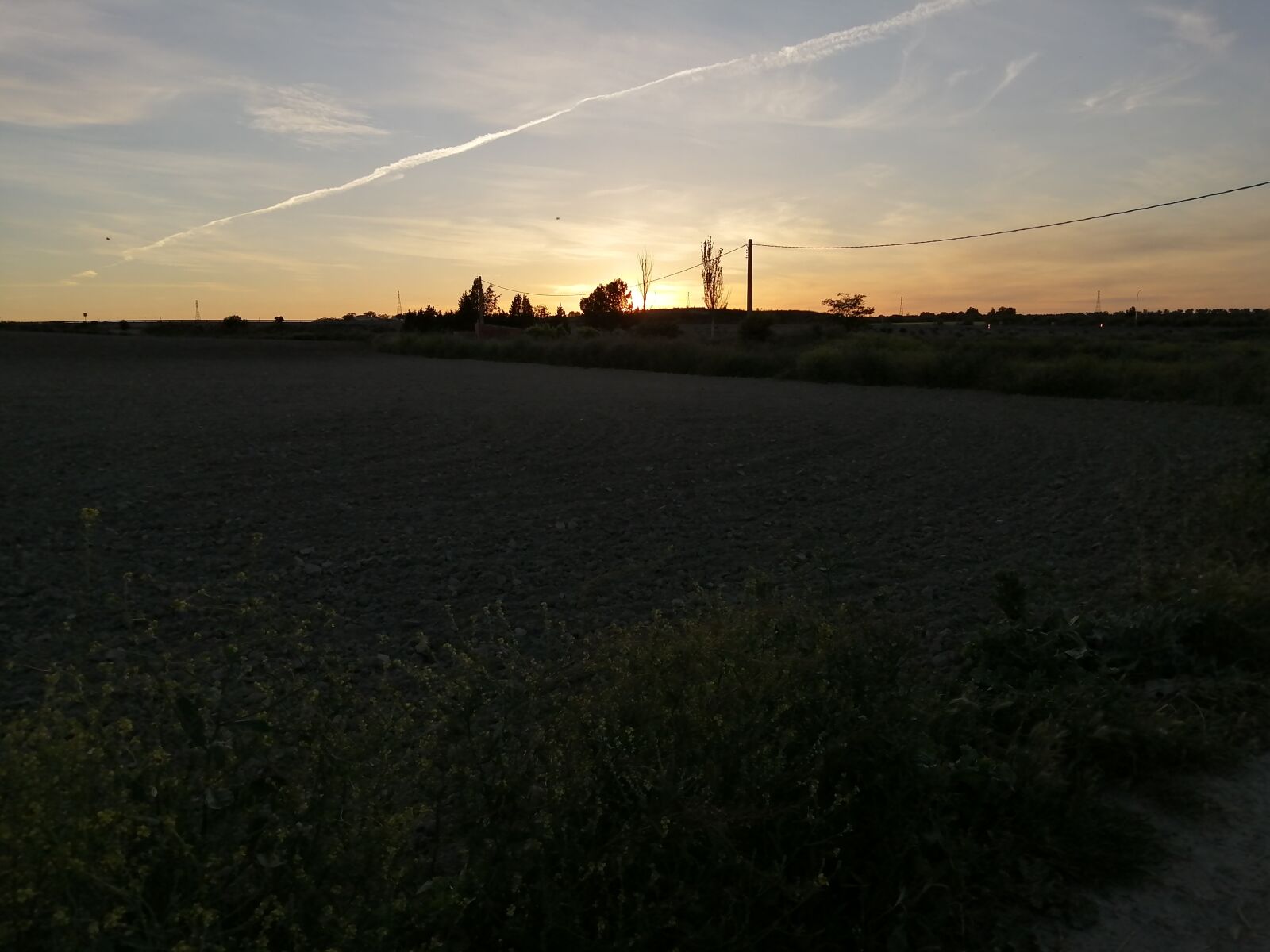 HUAWEI P SMART 2019 sample photo. Atardecer, campo, flores photography