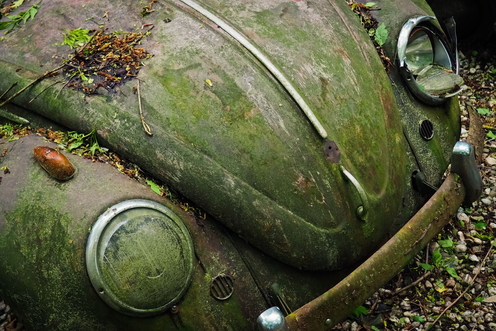 Olympus OM-D E-M10 sample photo. Auto, car cemetery, oldtimer photography