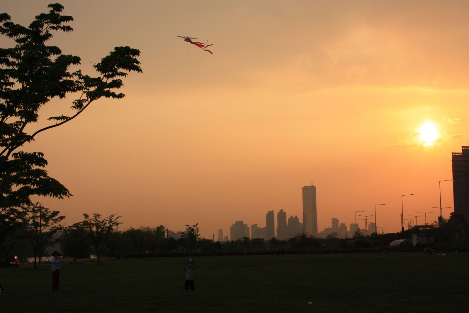 Canon EOS 450D (EOS Rebel XSi / EOS Kiss X2) sample photo. Kite at sunset, sunset photography