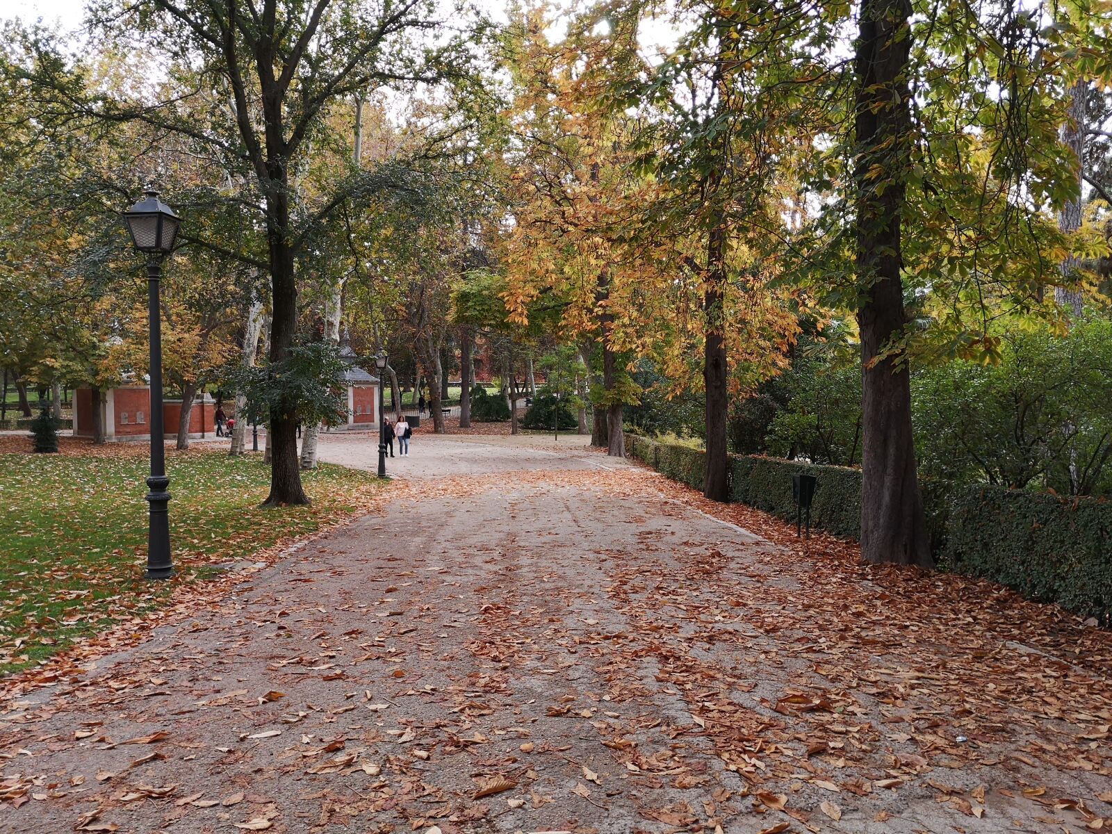 HUAWEI P20 sample photo. Path, sidewalk, to photography