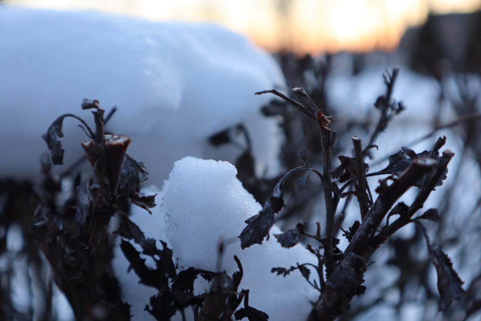 Canon EOS M50 (EOS Kiss M) sample photo. Ice, outdoors, winter photography