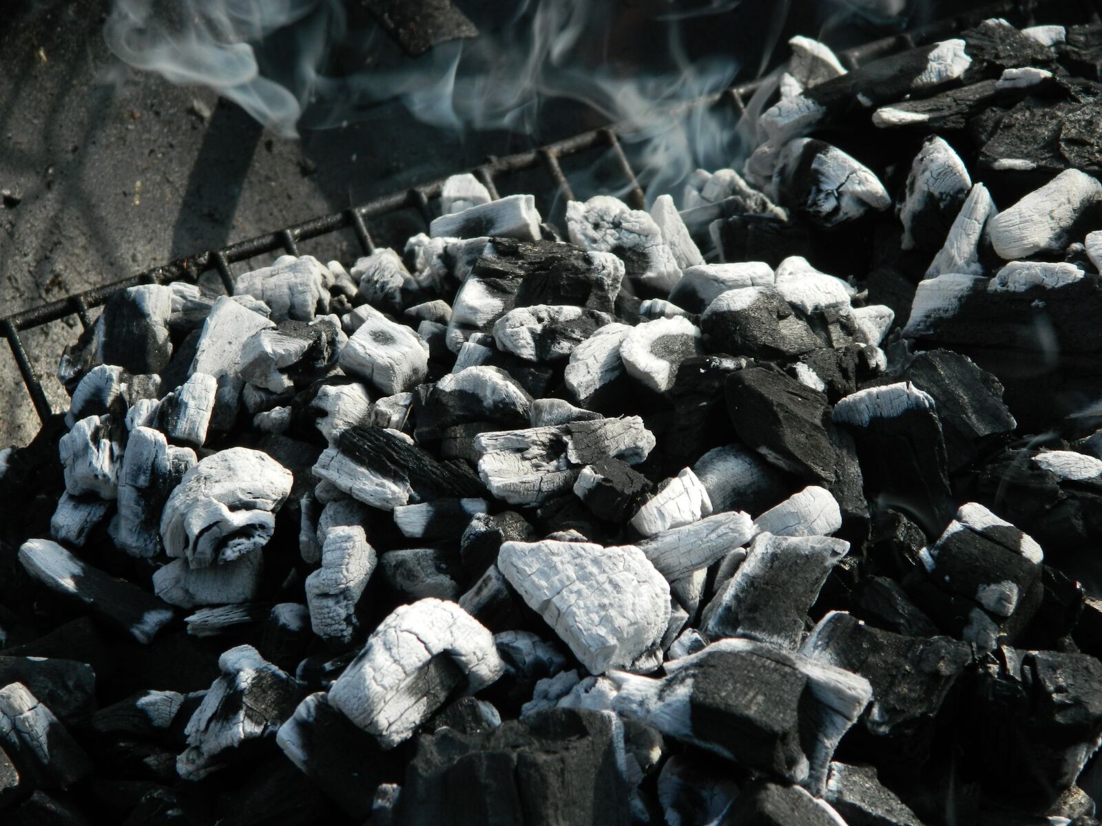 Nikon Coolpix L120 sample photo. Coal, bbq, summer photography