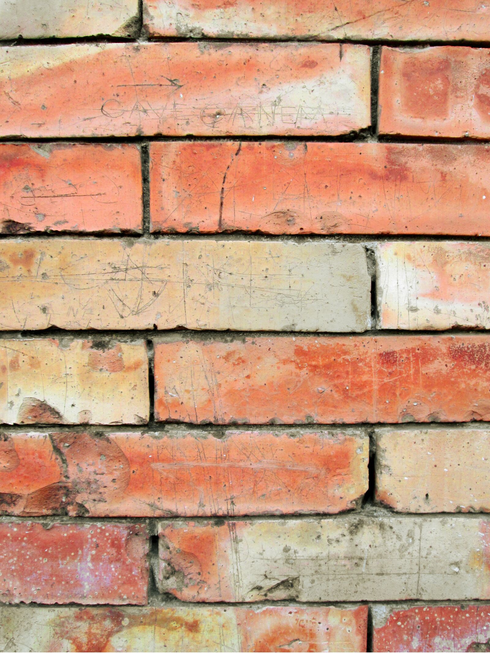 Canon PowerShot A2500 sample photo. Brick wall, background, texture photography
