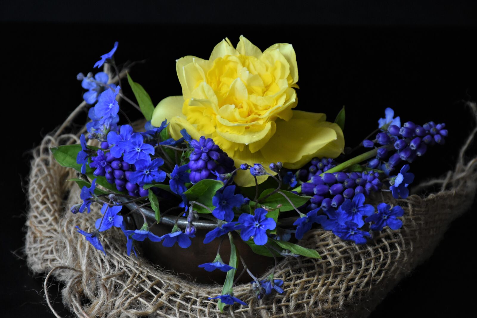 Nikon D7200 sample photo. Forget me not, tulips photography