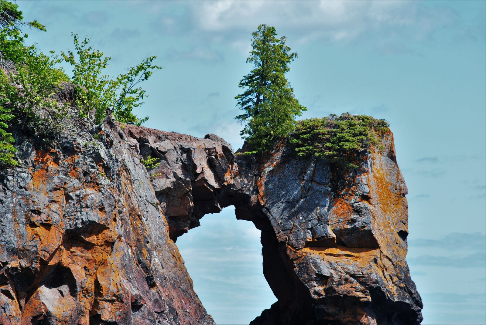 Nikon D80 sample photo. Nature, alone, landscape photography
