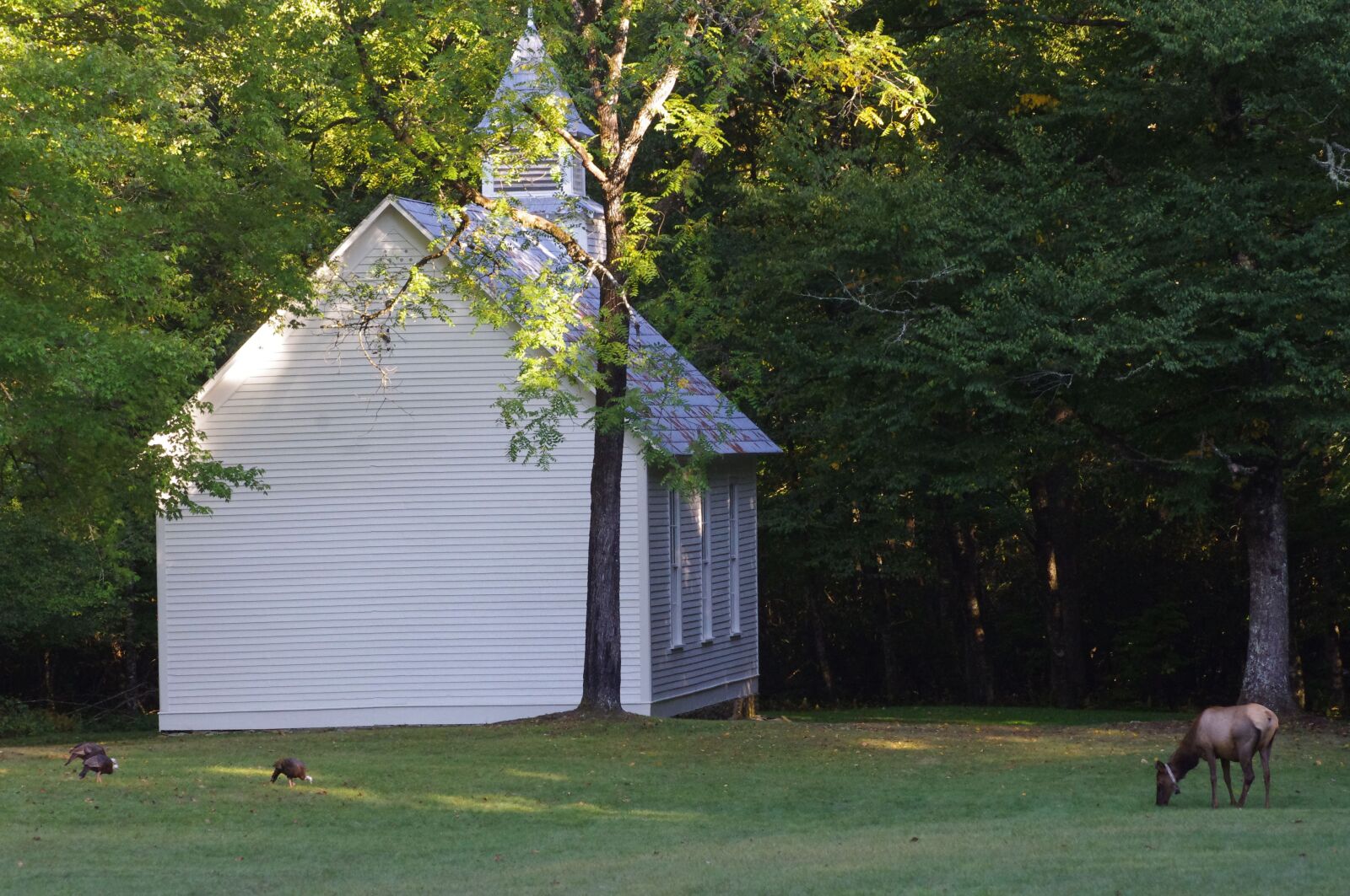 Pentax K-x sample photo. Church, elk, tourism photography