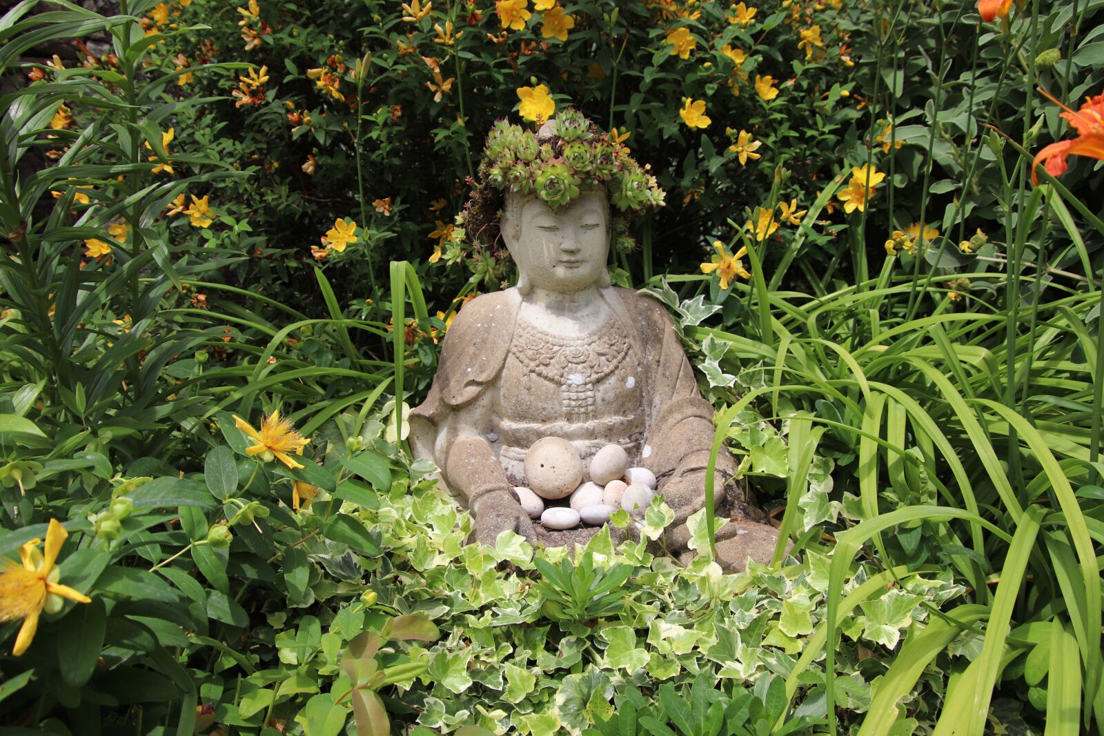 Canon EOS 800D (EOS Rebel T7i / EOS Kiss X9i) sample photo. Buddha, zen, calm photography