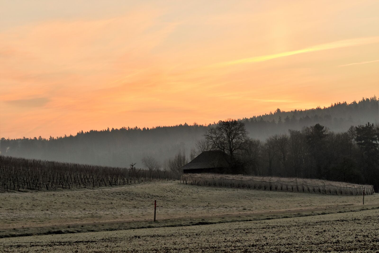 Nikon D5500 sample photo. Landscape, morgenrot, morgenstimmung photography
