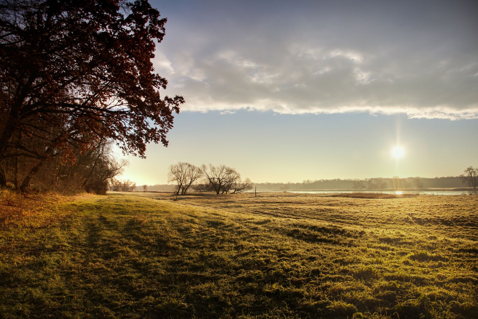 Nikon D7200 sample photo. Nature, sun, dawn photography