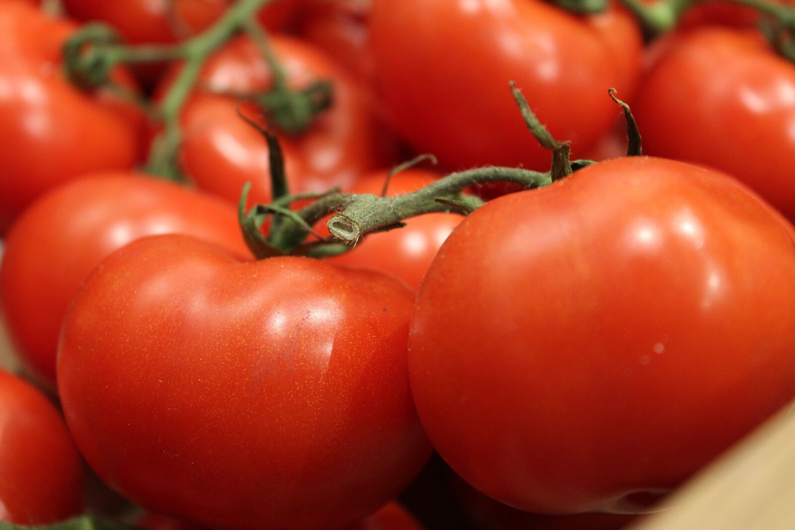 Canon EOS 1200D (EOS Rebel T5 / EOS Kiss X70 / EOS Hi) sample photo. Tomato, vegetables, tomatoes photography