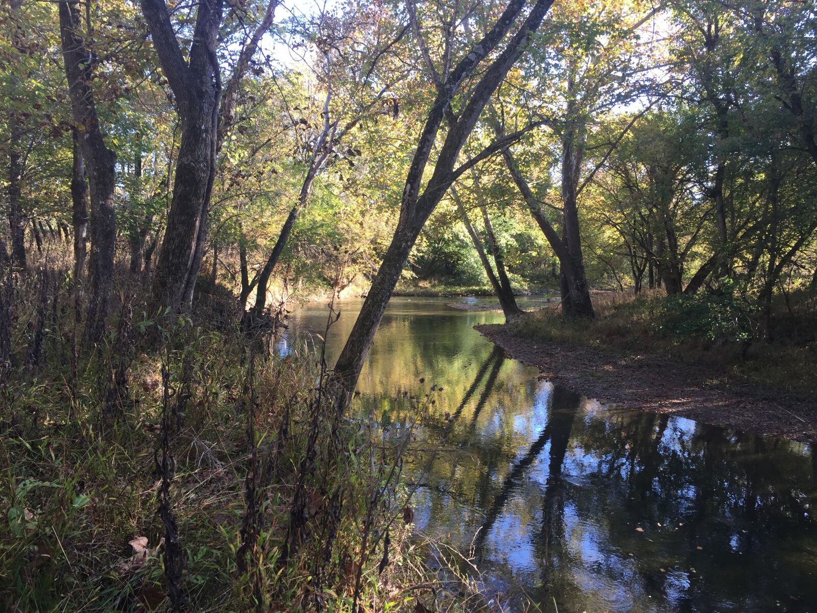iPhone 6 back camera 4.15mm f/2.2 sample photo. River, nature, peace photography