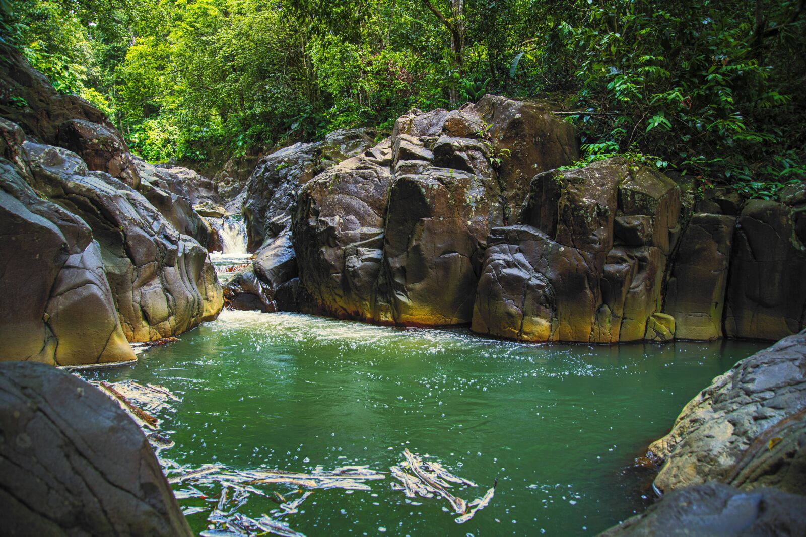 Nikon D850 sample photo. River, nature, water photography