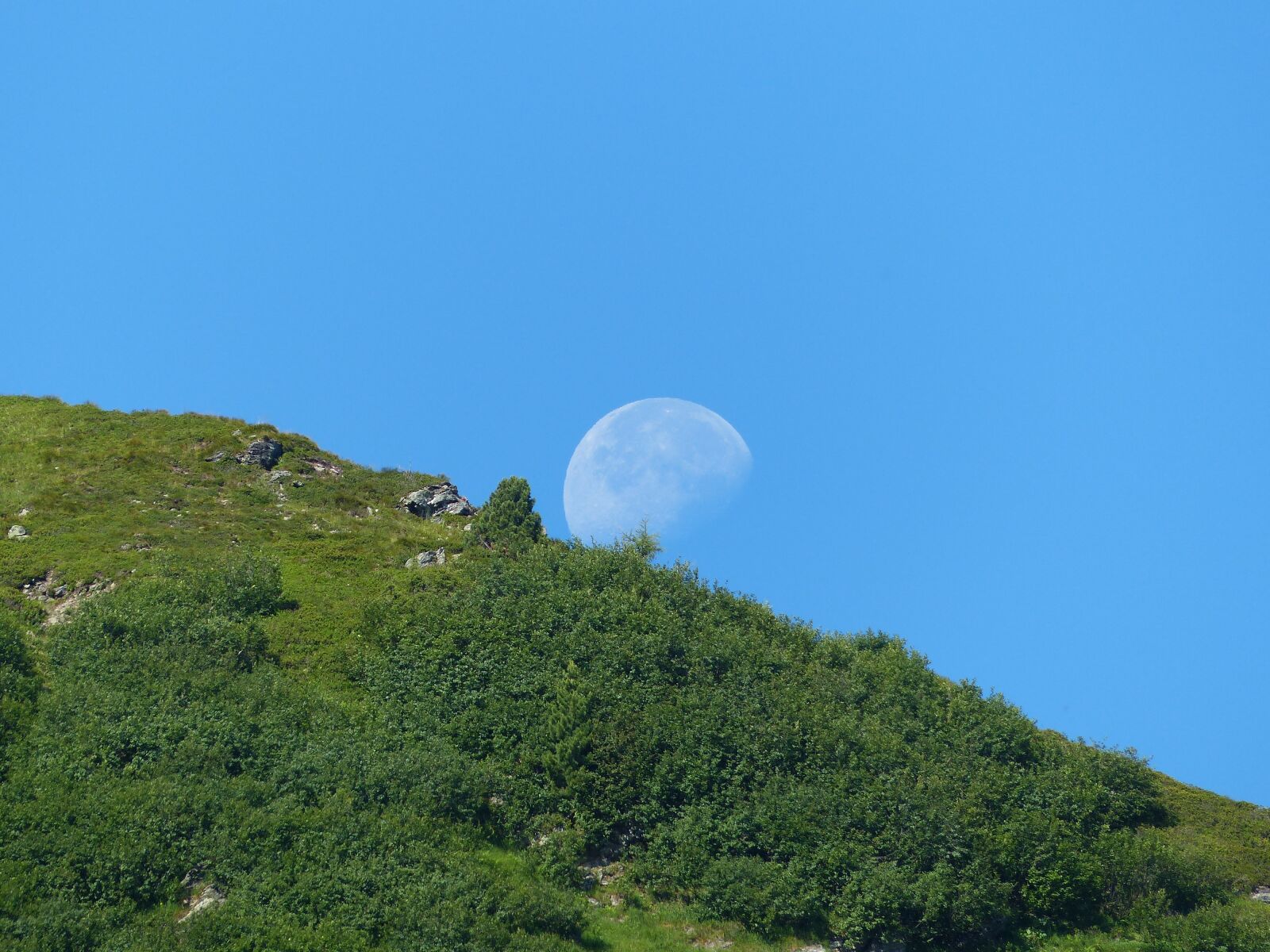 Panasonic Lumix DMC-FZ200 sample photo. Day, moon, sky photography