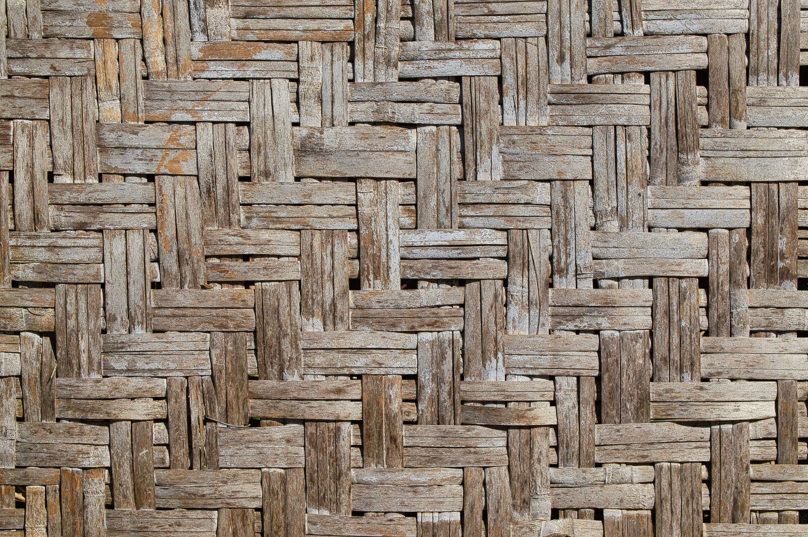 Nikon D3200 sample photo. Texture, plants, braided photography