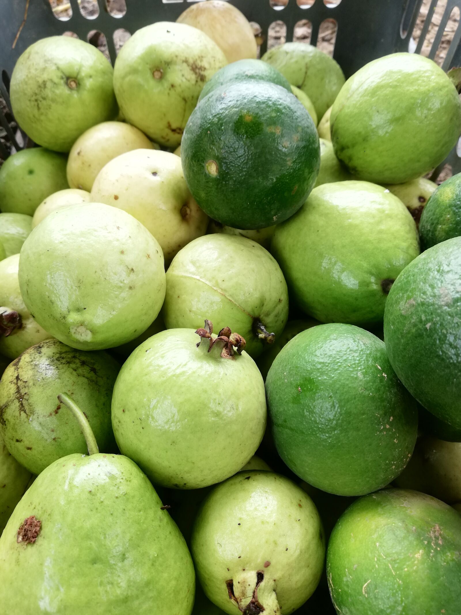 HUAWEI RNE-L21 sample photo