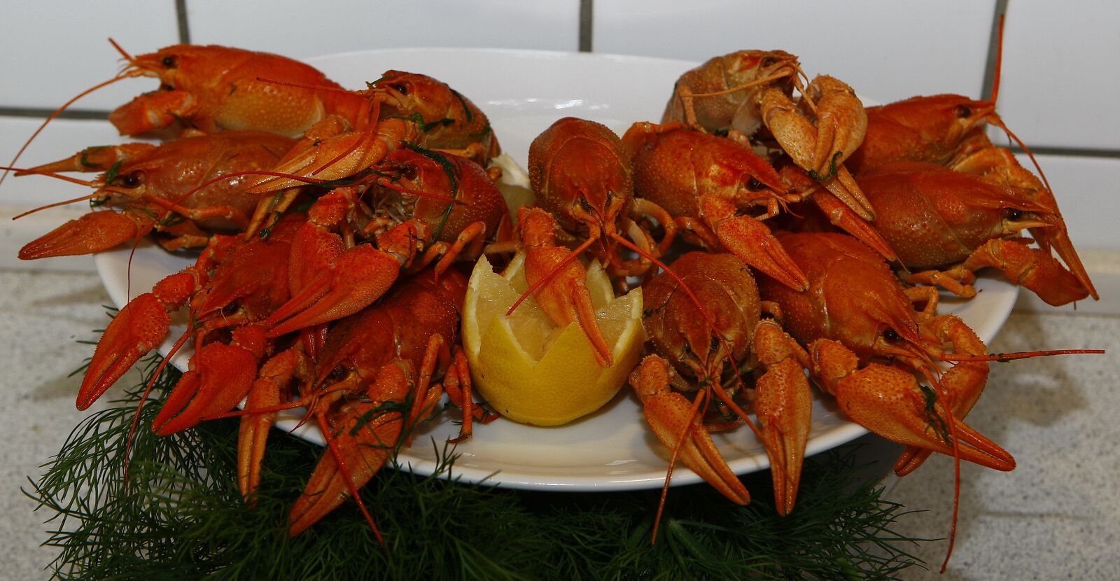 Canon EOS-1D Mark III sample photo. Crayfish, cooked, seafood photography