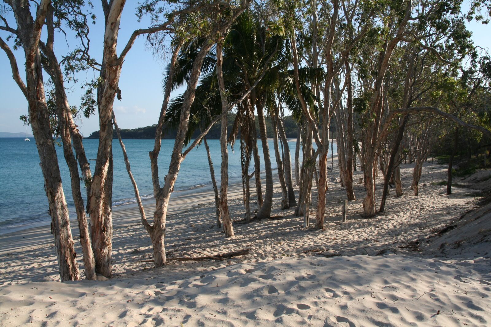 Canon EOS 350D (EOS Digital Rebel XT / EOS Kiss Digital N) sample photo. Tropical beach, trees, ocean photography
